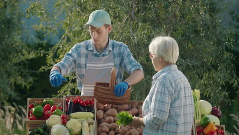 una anciana compra verduras en un mercado de agricultores, el vendedor pone las verduras en su canasta.