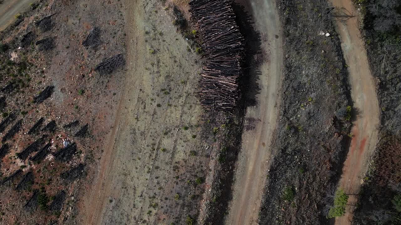 pilas de madera almacenadas en el lado de la carretera de grava en las montañas de españa, vista aérea de arriba hacia abajo