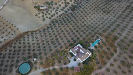 Toma-Aérea-De-Una-Gran-Casa-Blanca-Típica-De-España-Rodeada-De-Campos-De-Olivos-En-Andalucía