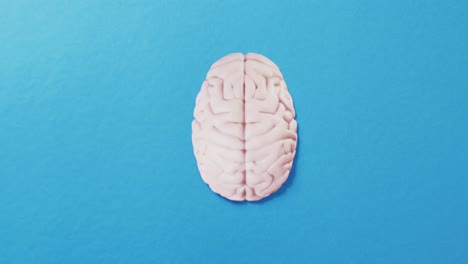 overhead video of white brain on blue background with copy space