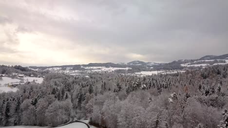 Flight-over-a-forest-in-Switzerland-while-winter