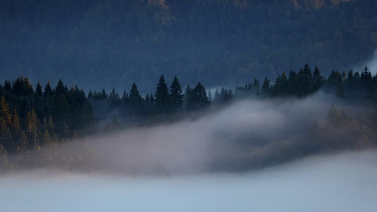 Misty Slovenian forest sunrise timelapse, fog creates serene and calm mood