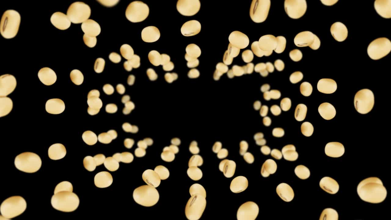 검은색 바탕에 많은 콩을 날아. 밝은 갈색 곡물. 콩과 콩. 건강한 음식. 회전하는 콩의 3d 루프 애니메이션.