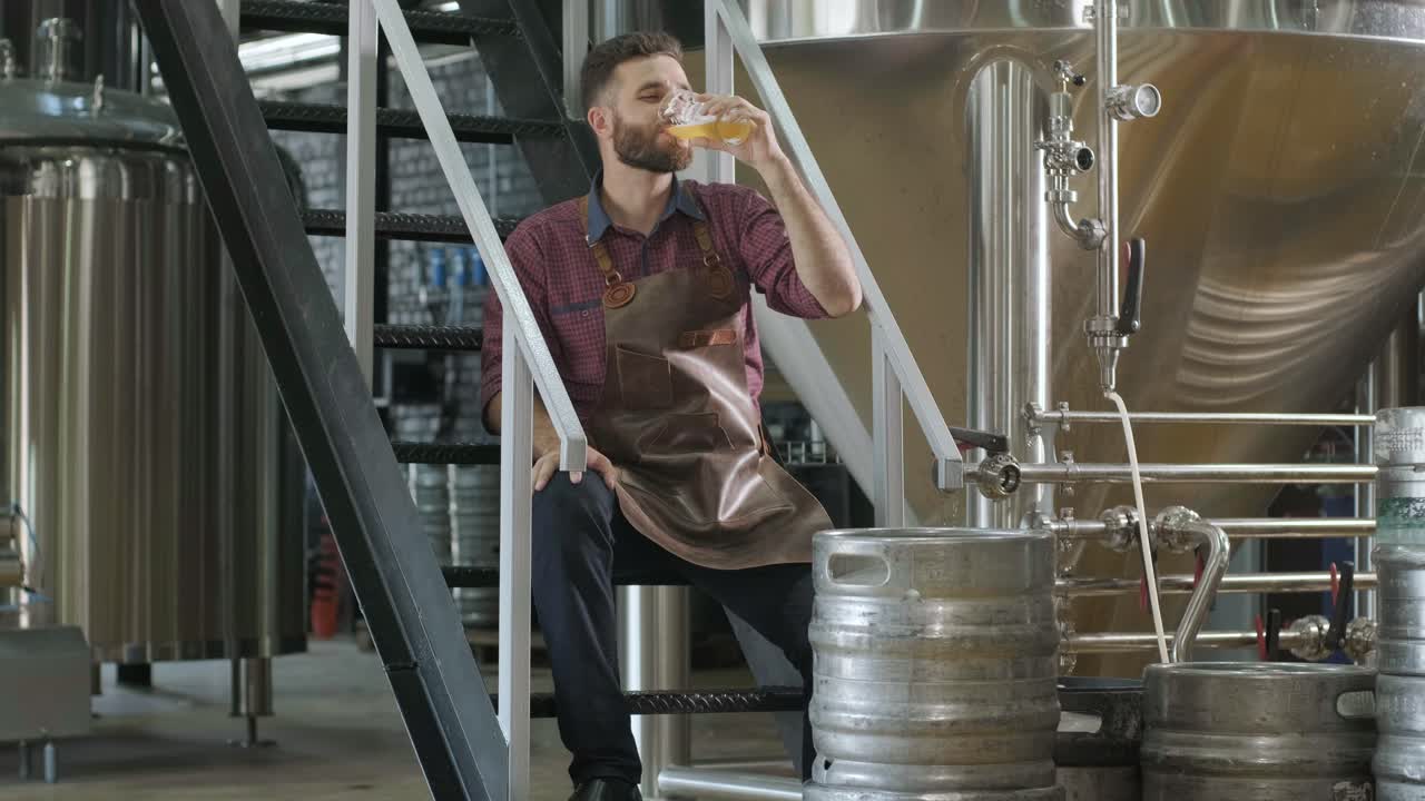 Young brewer wearing a leather apron is tasting beer at a modern brewery