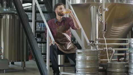 young brewer wearing a leather apron is tasting beer at a modern brewery