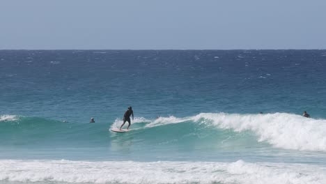 multiple surfers catch waves in a vibrant ocean