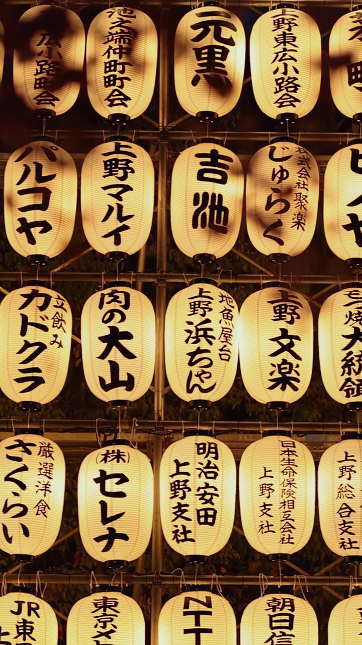 File di lanterne di carta tradizionali giapponesi illuminate brillano durante un festival notturno nel Parco di Ueno.