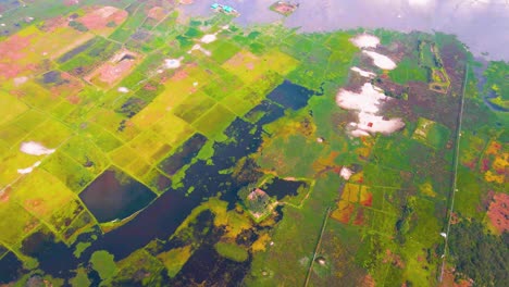 aerial: bangladesh agricultural land, flooded farm crops
