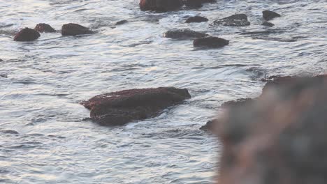 Fondo-De-Agua-De-Mar-Borroso-Desenfocado-O-Enfocado-Con-Destellos-De-Sol-Y-Brillo-Muy-Temprano