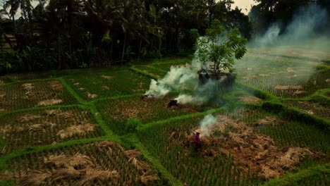 El-Agricultor-Está-Quemando-La-Paja-Sobrante-De-La-Cosecha-De-Arroz-En-Bali,-Indonesia---El-Dron-Aéreo-Retrocede