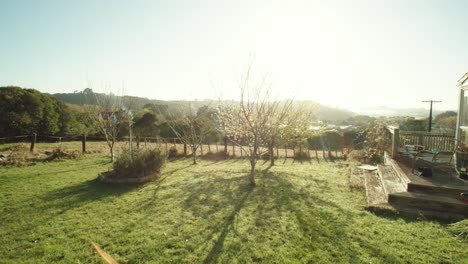 pov shot with sun flares of the garden of a farm in new zealand
