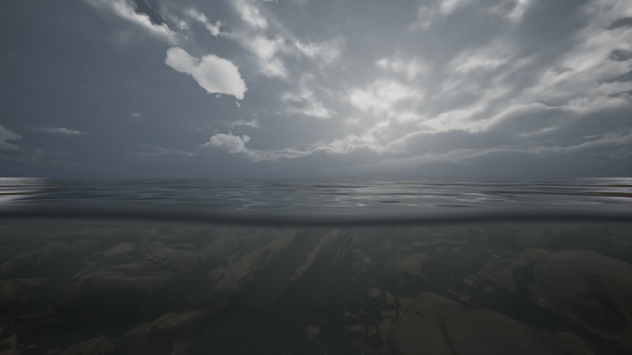 절반의 물 바다 물선 아래에서  ⁇