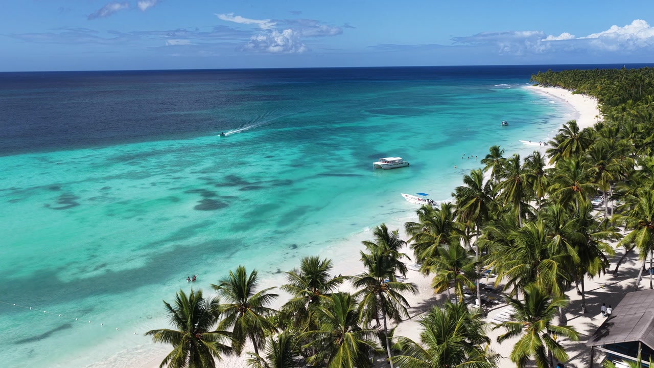 Isla Saona At Punta Cana In La Altagracia Dominican Republic. Caribbean Skyline. Beach Landscape. Native Coconut Trees. Isla Saona In Punta Cana In Dominican Republic. Nature Seascape.