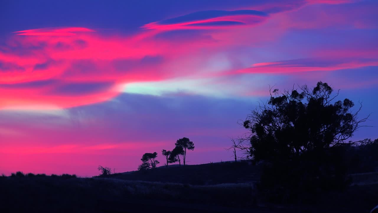 un hermoso amanecer o atardecer de otro mundo a lo largo de la costa de california con un árbol recortado en primer plano 2