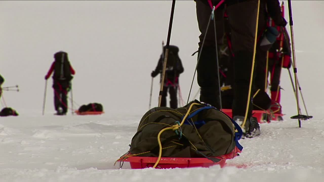 썰매와 풀어요의 근접 촬영