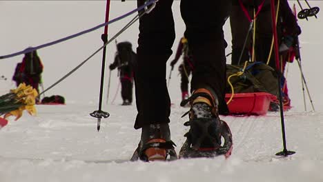 closeup of sleds and snowshoes