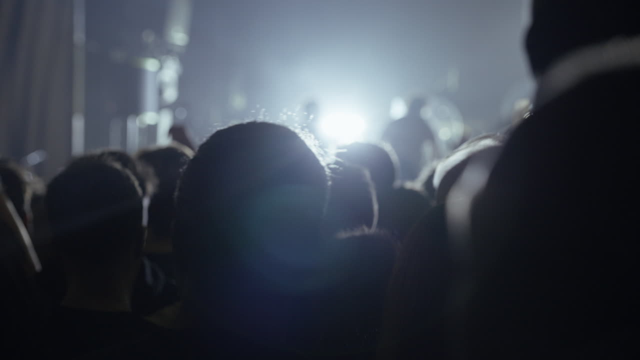 Pubblico in silhouette che si gode un concerto di musica dal vivo