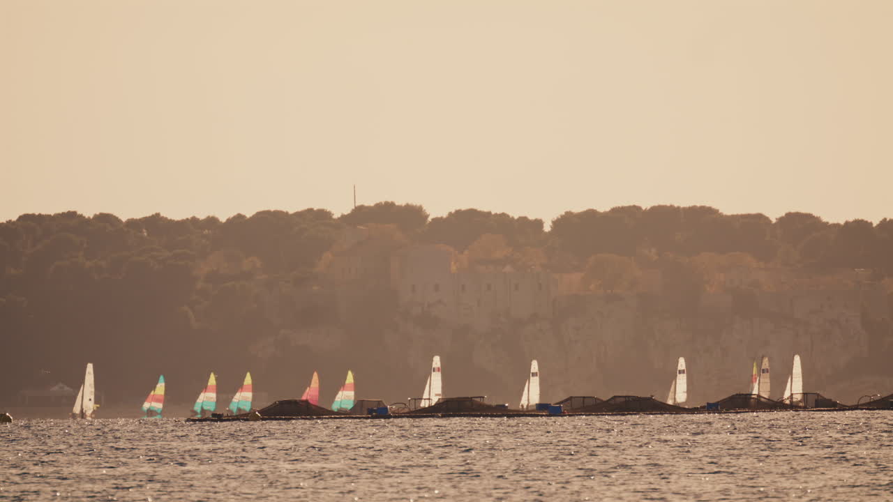 Bredt billede af små sejlbåde med farverige sejl, der bevæger sig hen over roligt havvand nær en skovklædt kystlinje