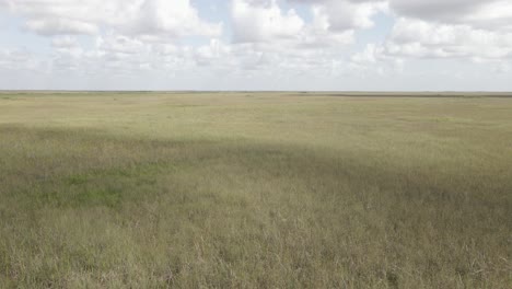 Florida-Everglades-Sumpfiges-Savannengras-Erstreckt-Sich-Bis-Zum-Fernen-Horizont