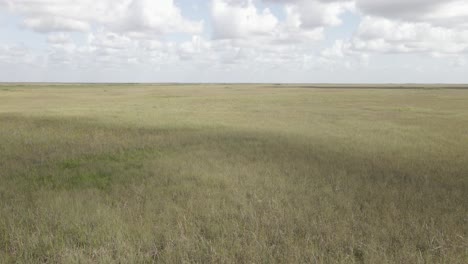 Florida-Everglades-Hierba-De-Sabana-Pantanosa-Se-Extiende-Hasta-El-Horizonte-Lejano