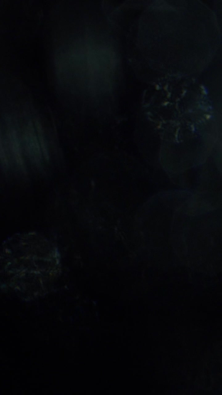 Abstract Light Reflection Fading on Dark Textured Surface