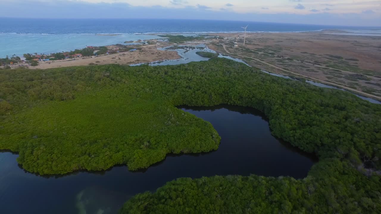 네덜란드령 안틸레스 보네르에 있는 락 베이의 석호와 맹그로브