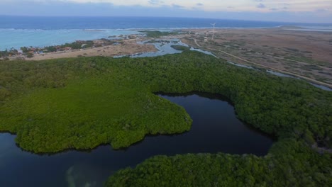 The-lagoon-and-mangroves-of-Lac-Bay-in-Bonaire,-Netherlands-Antilles