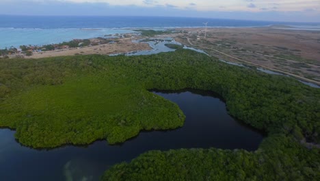 la laguna y los manglares de lac bay en bonaire, antillas holandesas