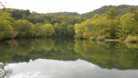 Herbstbaum-Am-See-In-Nagano,-Japan