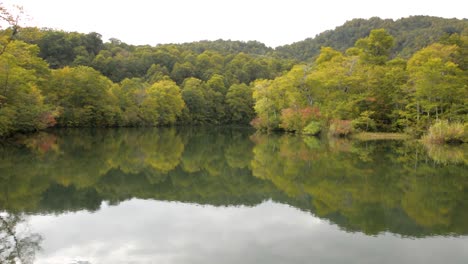 árbol de otoño junto al lago en nagano japón