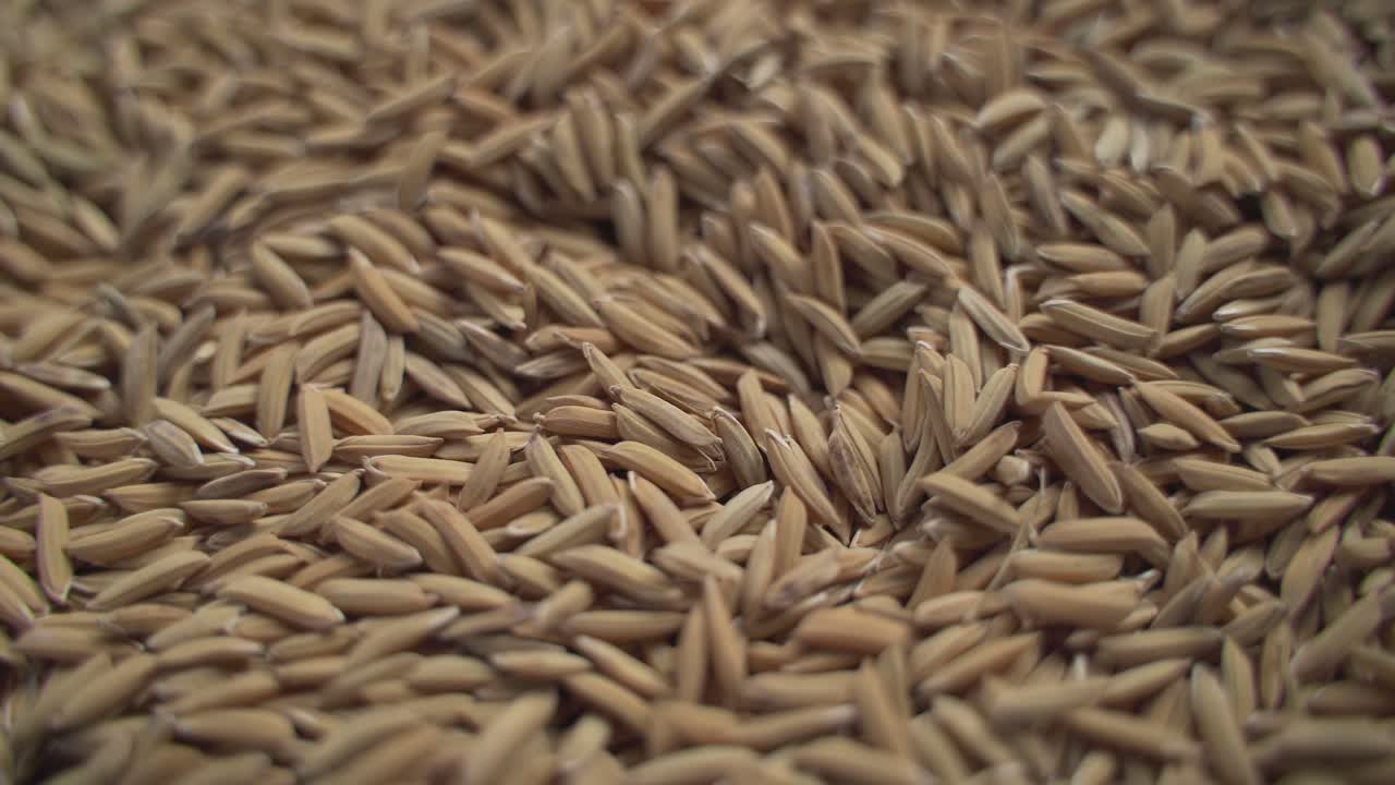 세계 대부분의 지역에서 쌀은 주식으로 사용됩니다.