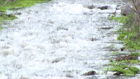 panup de un arroyo de montaña que fluye