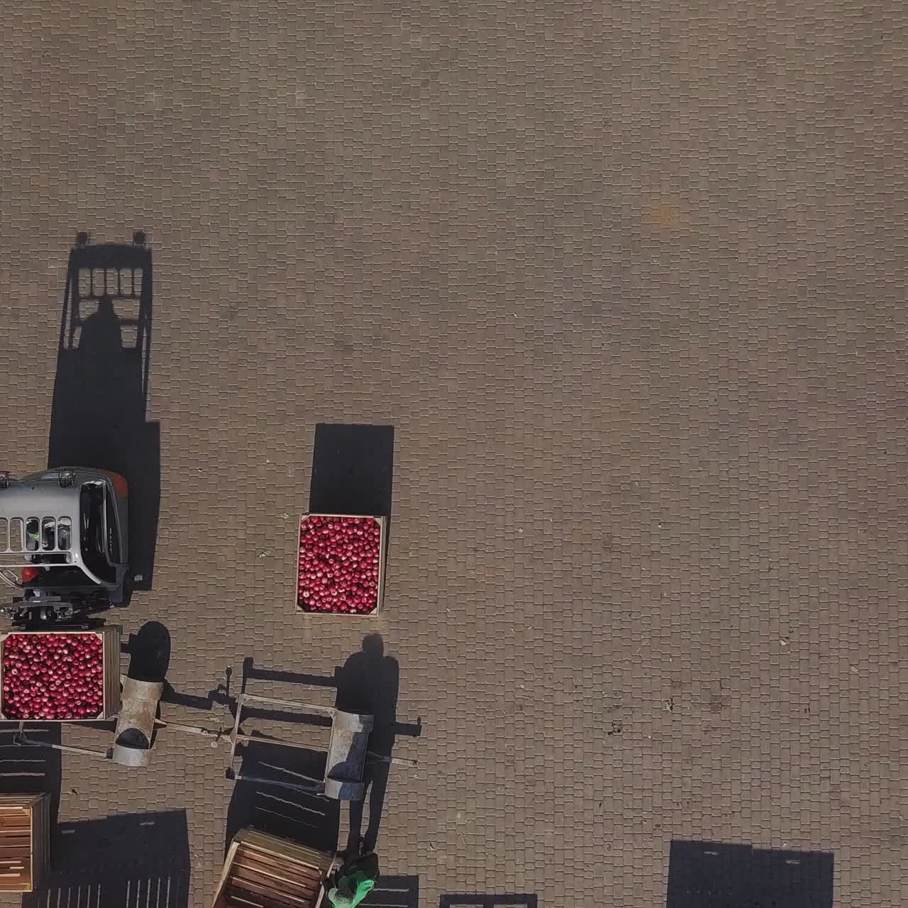harvest of apples, small loaders, forklift trucks, machines load, put large wooden boxes full of apples on top of each other. top view, aero video.
