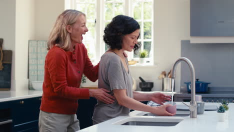 loving same sex mature female couple doing washing up in kitchen together