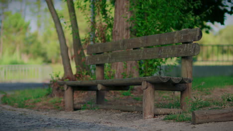 wooden park bench in a public park slow motion full shot