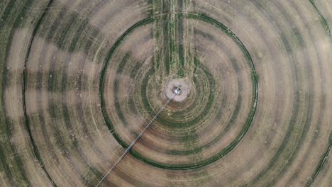 circular fields with center pivot irrigation in green river, emery county, utah, usa