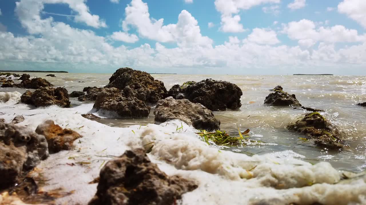 cerca de la espuma del mar en el lago de los everglades, que cubre la orilla y las rocas