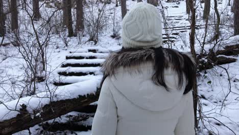 lost woman in the snowy mountain arrive to fallen tree