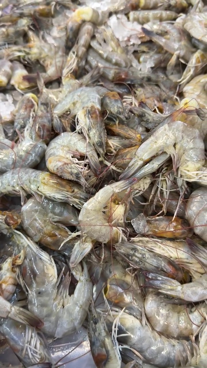 Udang Mentah Segar di atas Es di Pasar Makanan Laut
