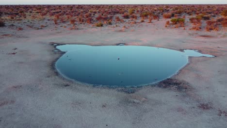 Luftaufnahme-Eines-Wasserlochs-In-Der-Trockenen-Kalahari-Region-Im-Südlichen-Afrika