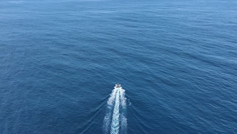 motorboat piloted out to open ocean leaving white wake, whale watching azores