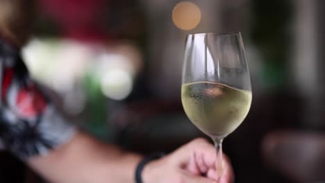 two people toasting with wine in a cozy setting