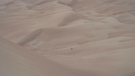 Wanderer-Durchqueren-Ein-Riesiges-Sanddünenfeld-Im-Great-Sand-Dunes-National-Park