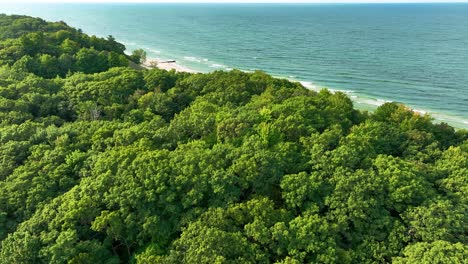 Pushing-to-a-lakefront-from-above-tree-cover