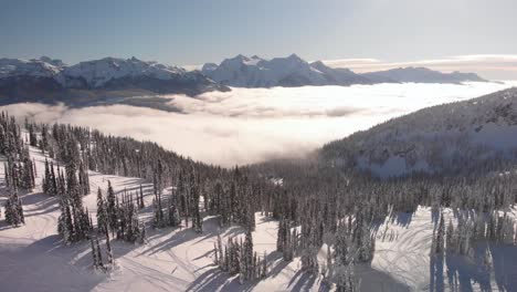 aerial view of a winter landscape in revelstoke national park, british columbia