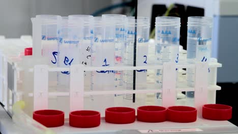 plastic measuring cylinders in a lab