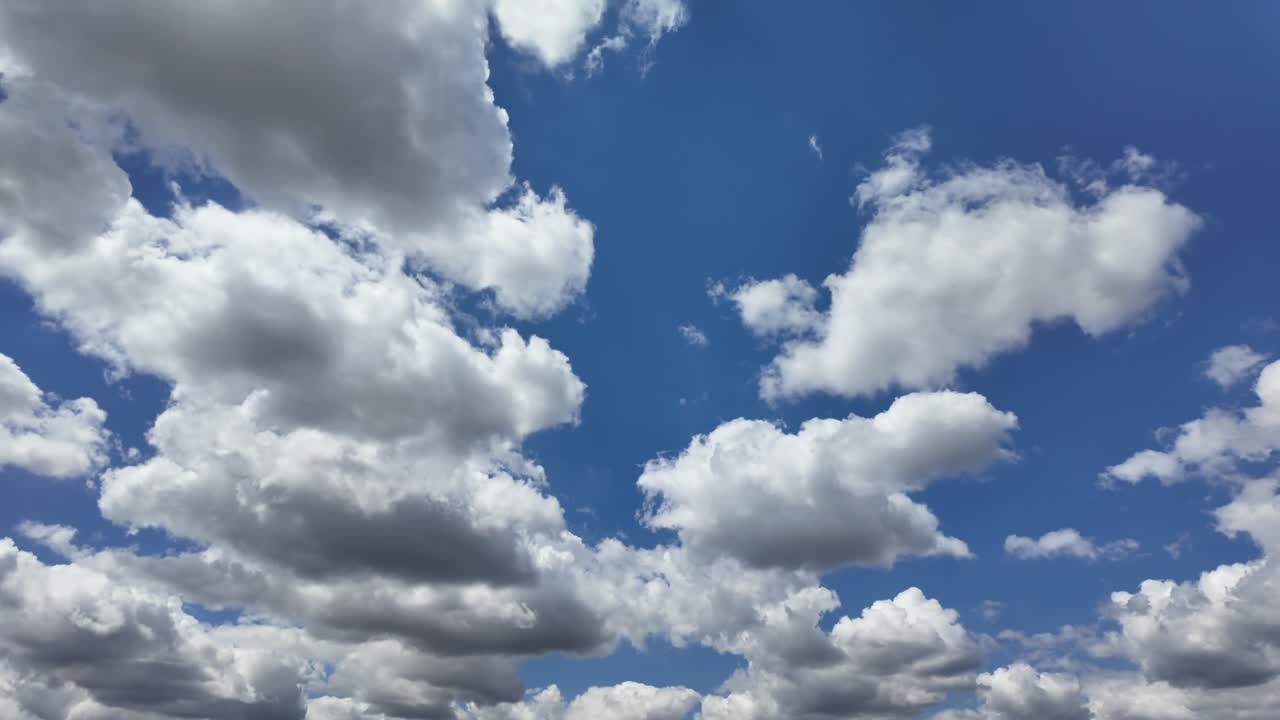 Time lapse of evolving cottony cumulus clouds in a deep blue sky. Low angle view. 4K