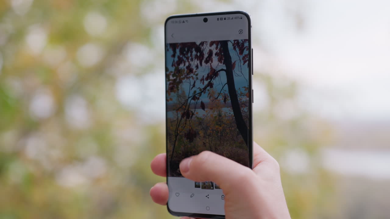Scena autunnale di un lago migliorata digitalmente, composizione rivista su smartphone con sottili effetti filtro applicati, primo piano dell'interfaccia del telefono mentre l'utente modifica la fotografia di un albero vicino al lago