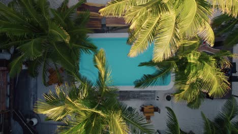 Top-down-aerial-of-tropical-swimming-pool-of-at-the-Akkin-Beach,-Mexico