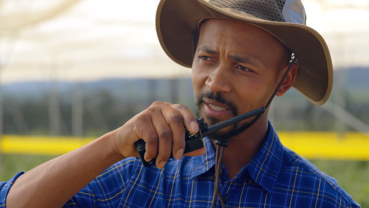 Homem falando no walkie-talkie em plantação de mirtilos 4k